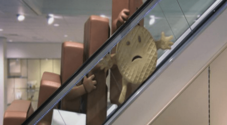 Chocomoments Warenhuis