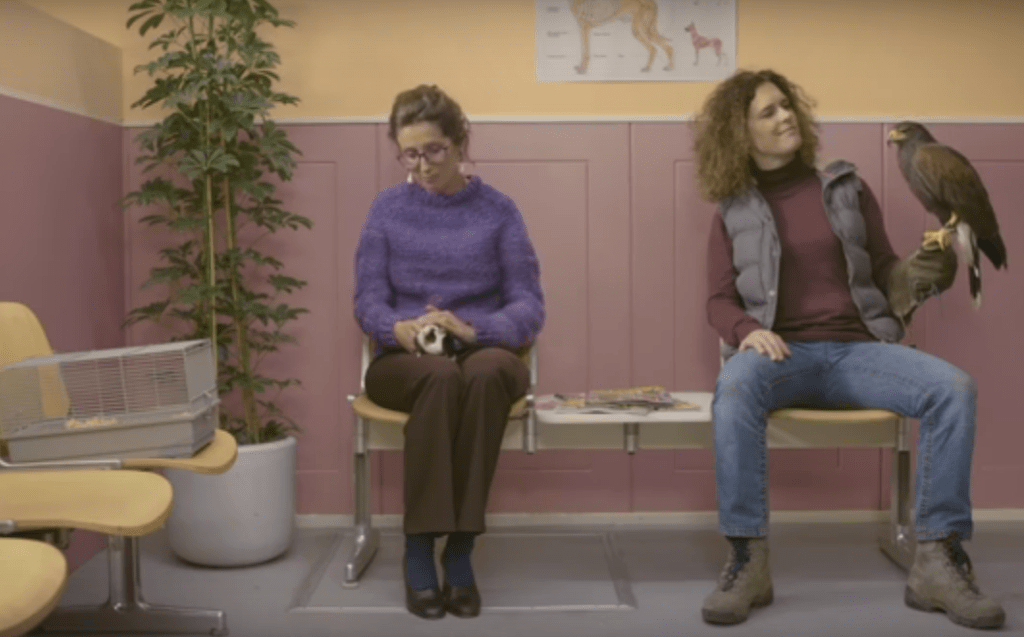 Sanoma Story Dierenarts