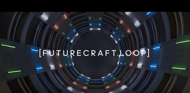 adidas Futurecraft Loop